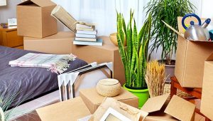 Vishwas Packers and Movers