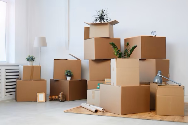 Domestic Shifting