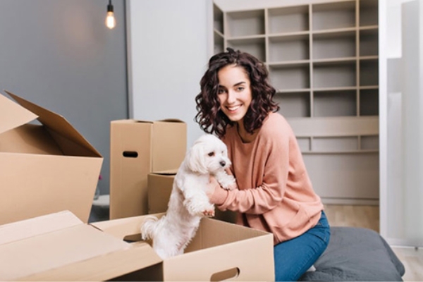 Pet Relocation